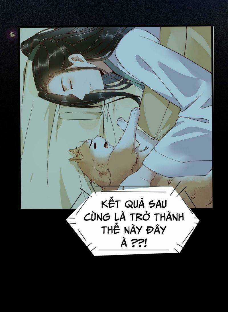 Sát Thủ Vương Phi Không Dễ Chọc Chapter 41 trang 10