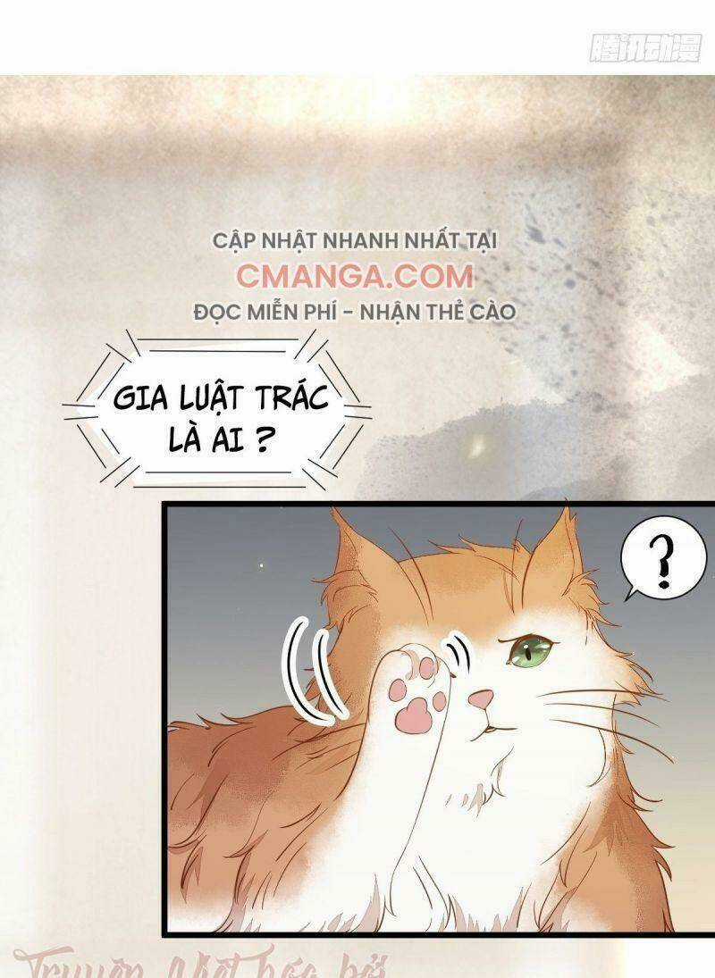 Sát Thủ Vương Phi Không Dễ Chọc Chapter 41 trang 17