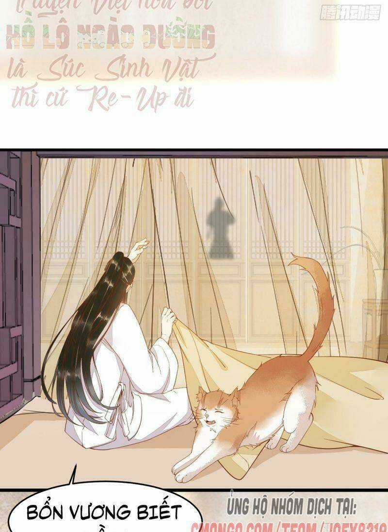 Sát Thủ Vương Phi Không Dễ Chọc Chapter 41 trang 18