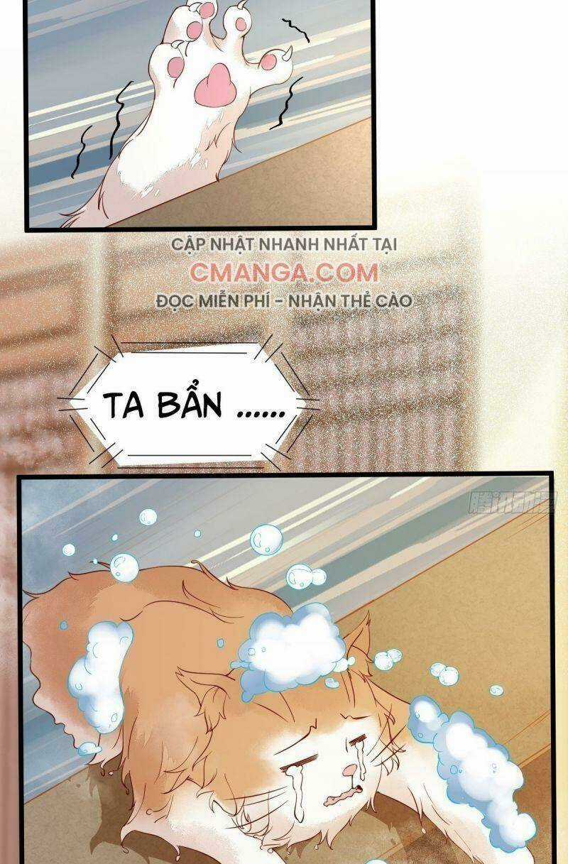 Sát Thủ Vương Phi Không Dễ Chọc Chapter 41 trang 2