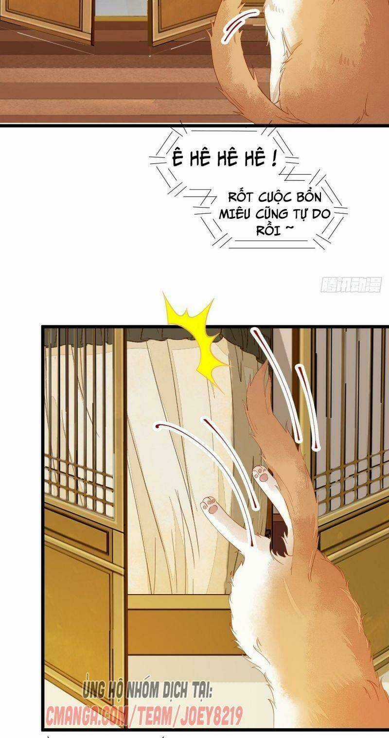 Sát Thủ Vương Phi Không Dễ Chọc Chapter 41 trang 21