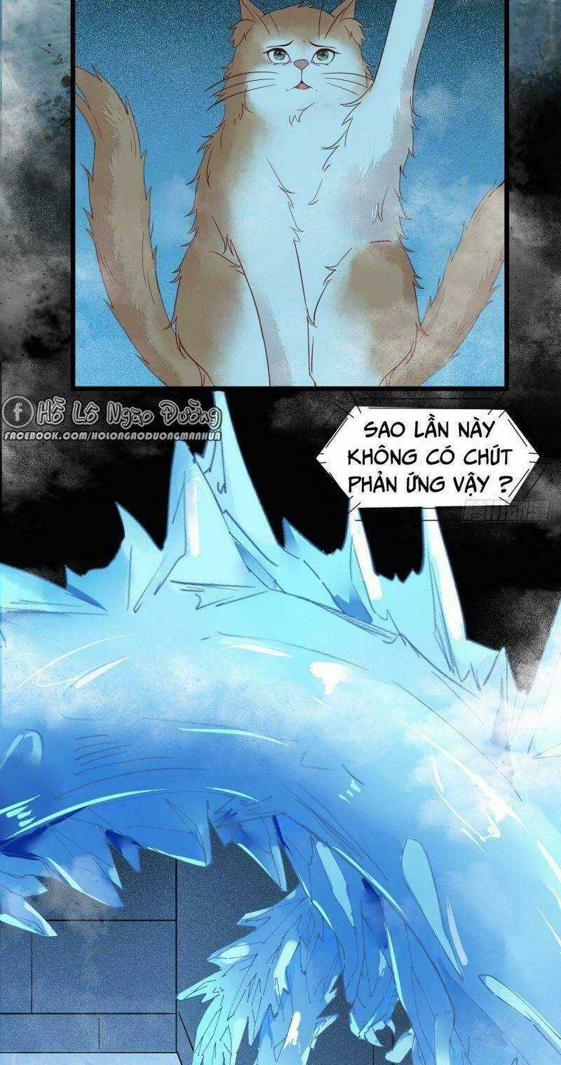 Sát Thủ Vương Phi Không Dễ Chọc Chapter 41 trang 24