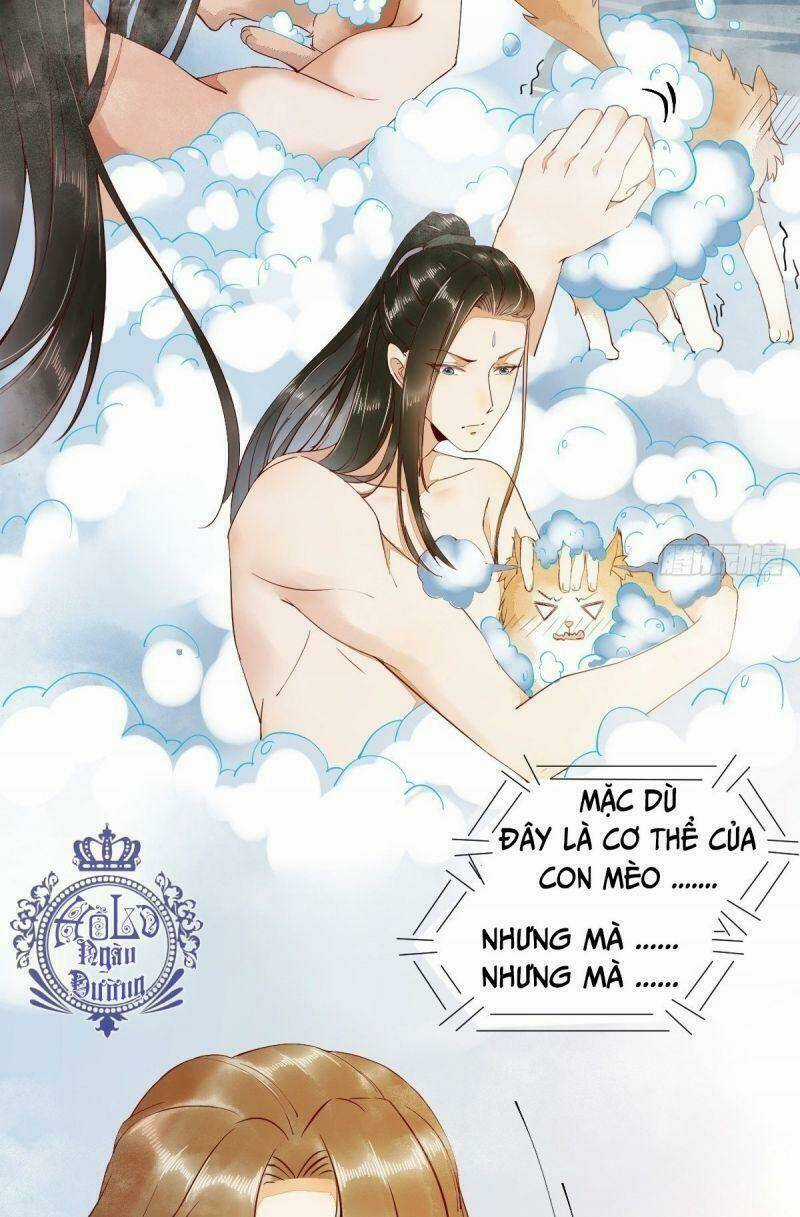 Sát Thủ Vương Phi Không Dễ Chọc Chapter 41 trang 4
