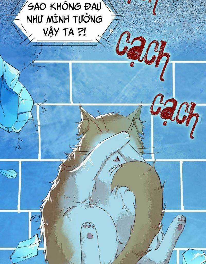 Sát Thủ Vương Phi Không Dễ Chọc Chapter 41 trang 42