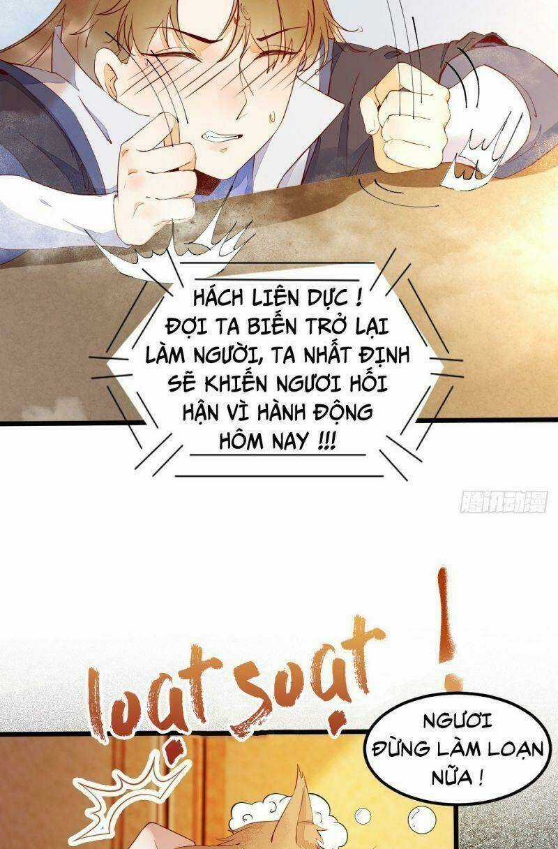 Sát Thủ Vương Phi Không Dễ Chọc Chapter 41 trang 5