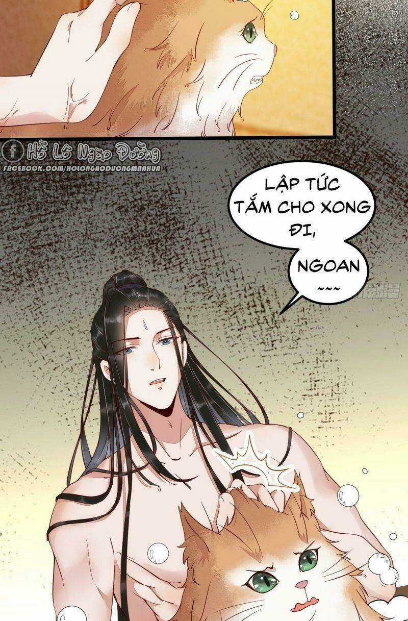 Sát Thủ Vương Phi Không Dễ Chọc Chapter 41 trang 6