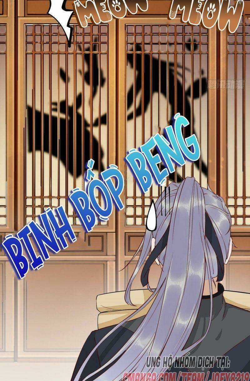 Sát Thủ Vương Phi Không Dễ Chọc Chapter 41 trang 8