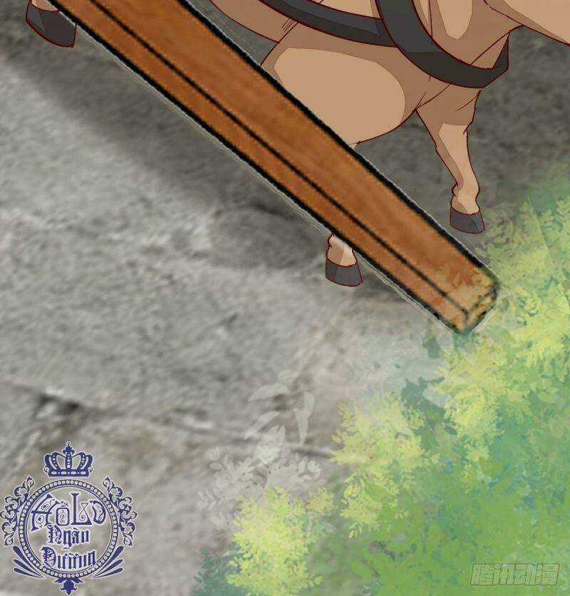 Sát Thủ Vương Phi Không Dễ Chọc Chapter 43 trang 14