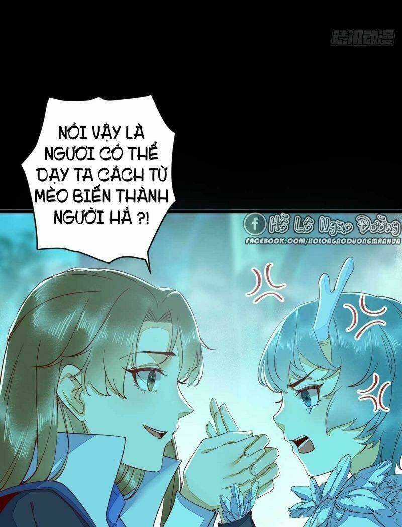 Sát Thủ Vương Phi Không Dễ Chọc Chapter 43 trang 20