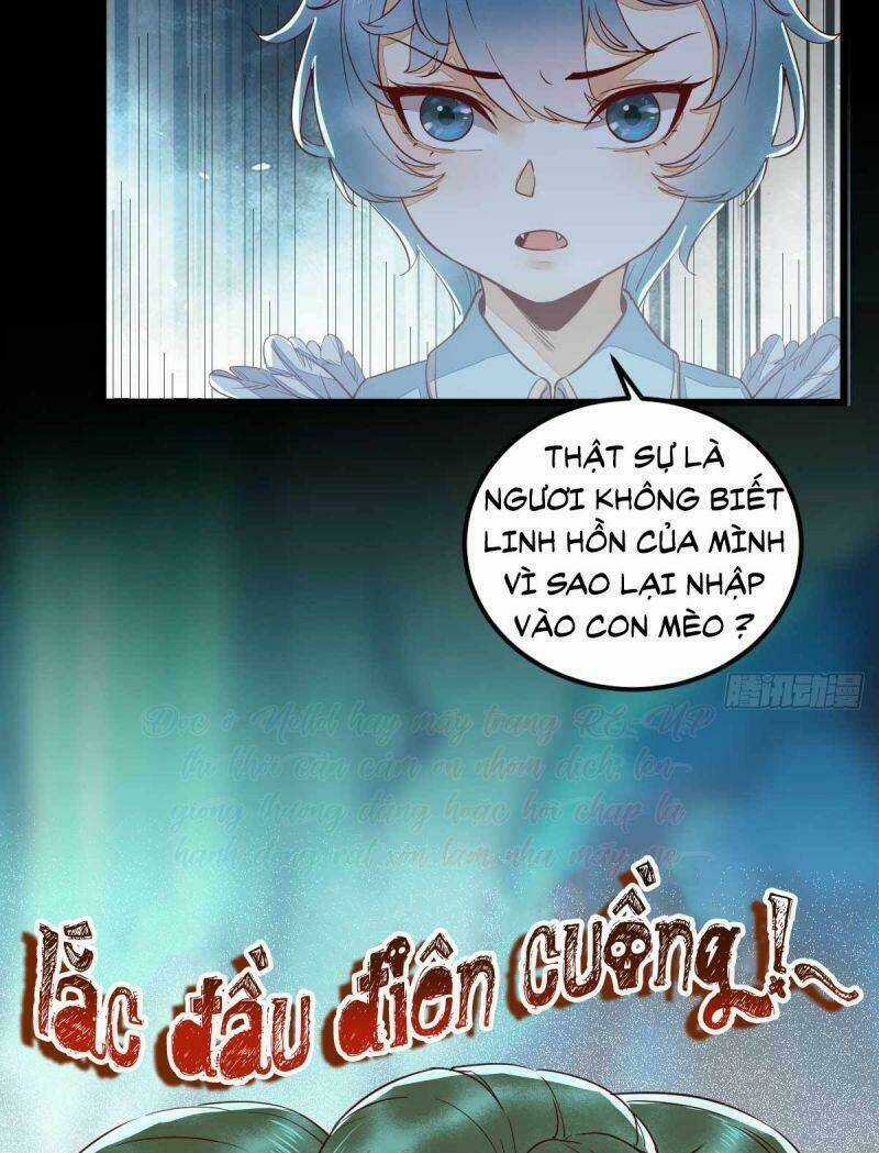 Sát Thủ Vương Phi Không Dễ Chọc Chapter 43 trang 22