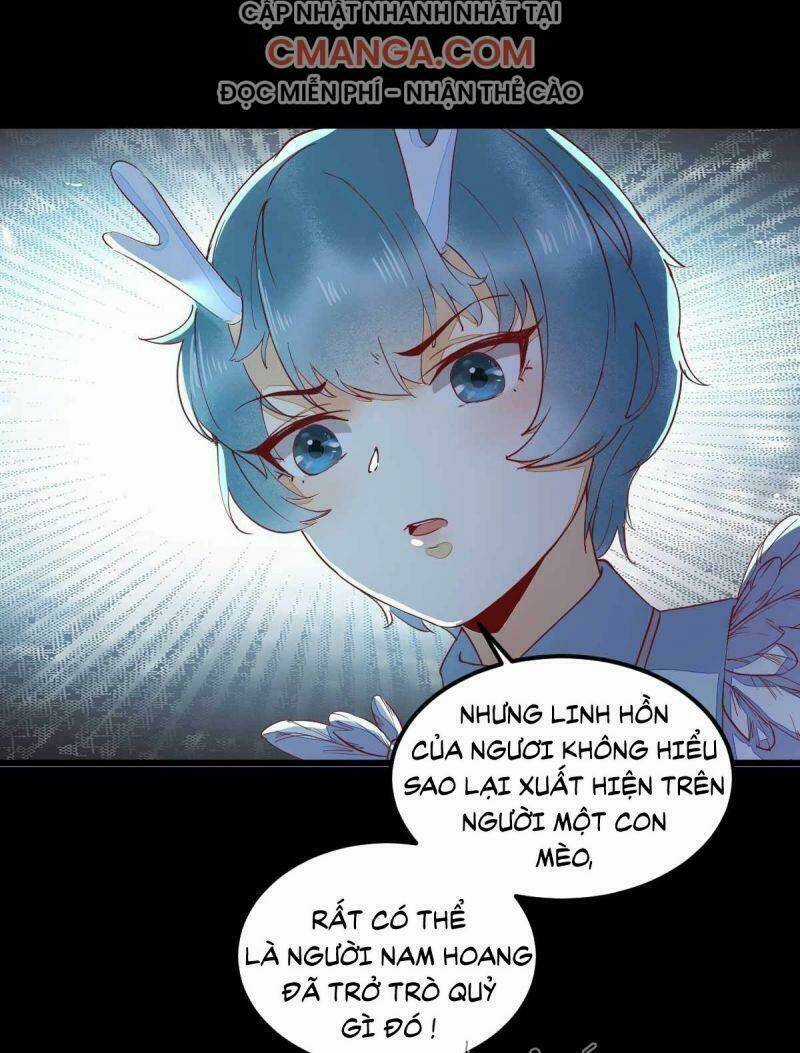 Sát Thủ Vương Phi Không Dễ Chọc Chapter 43 trang 48