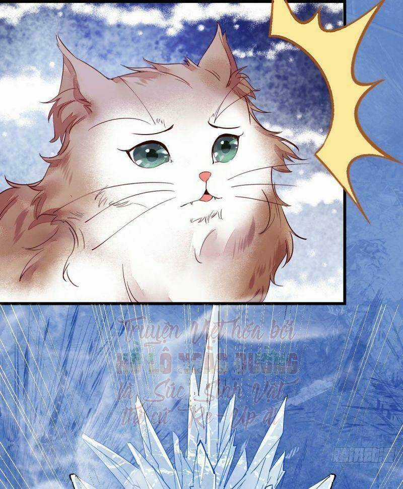 Sát Thủ Vương Phi Không Dễ Chọc Chapter 44 trang 10