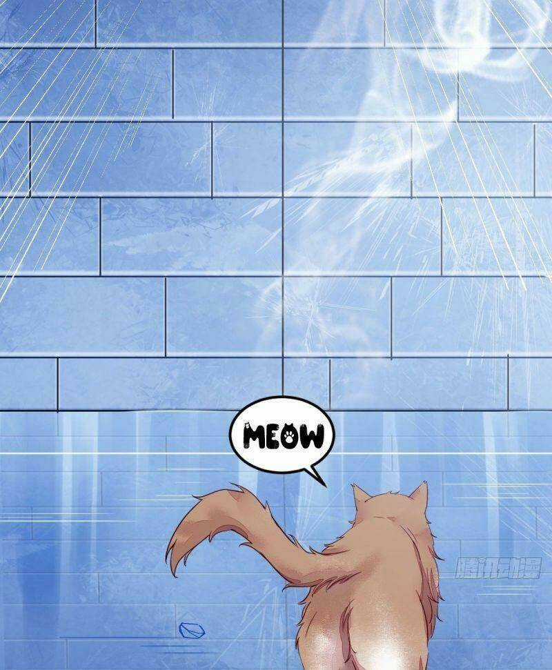 Sát Thủ Vương Phi Không Dễ Chọc Chapter 44 trang 12