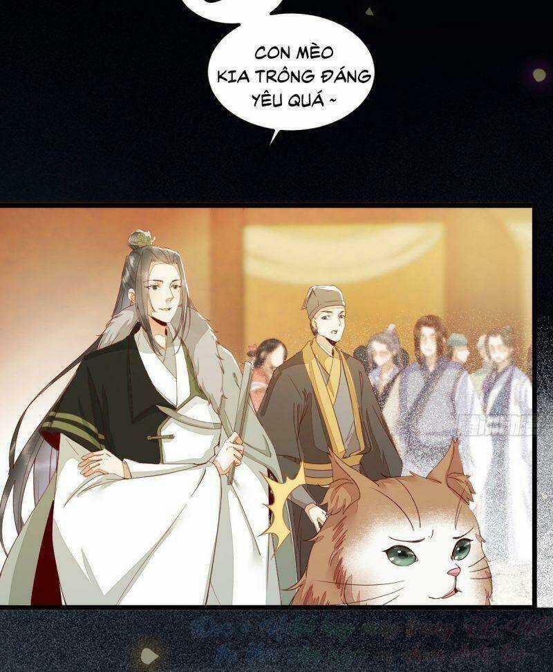 Sát Thủ Vương Phi Không Dễ Chọc Chapter 44 trang 47