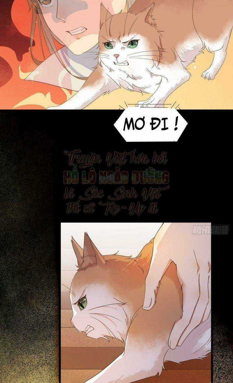 Sát Thủ Vương Phi Không Dễ Chọc Chapter 44 trang 51