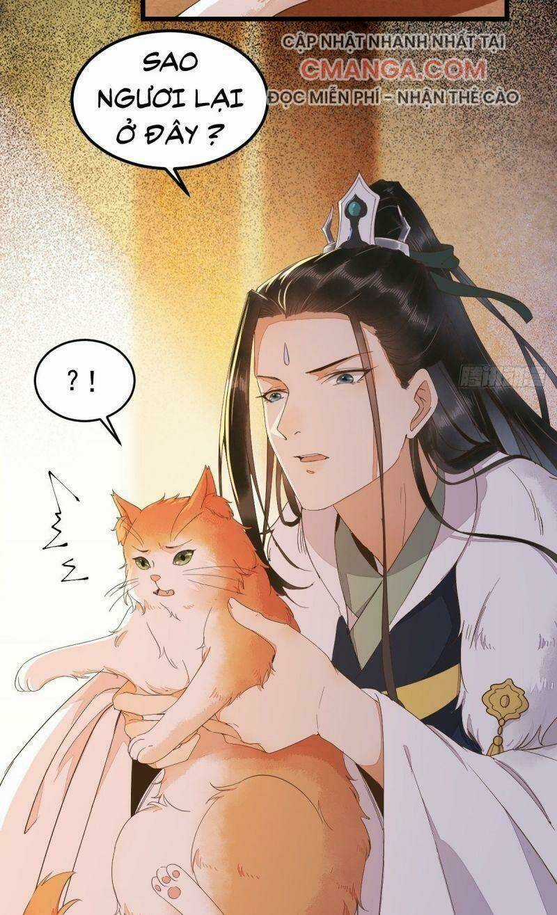 Sát Thủ Vương Phi Không Dễ Chọc Chapter 44 trang 52