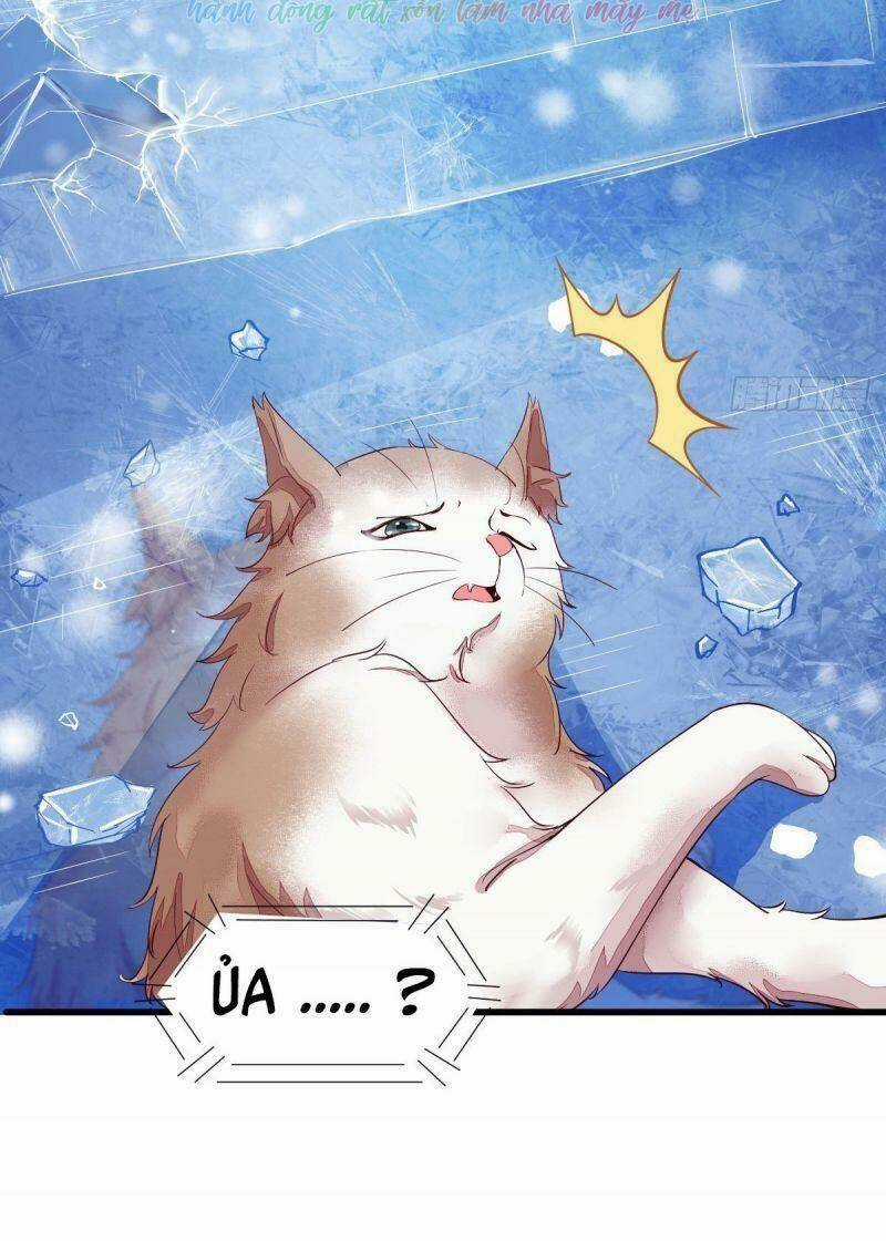 Sát Thủ Vương Phi Không Dễ Chọc Chapter 44 trang 8