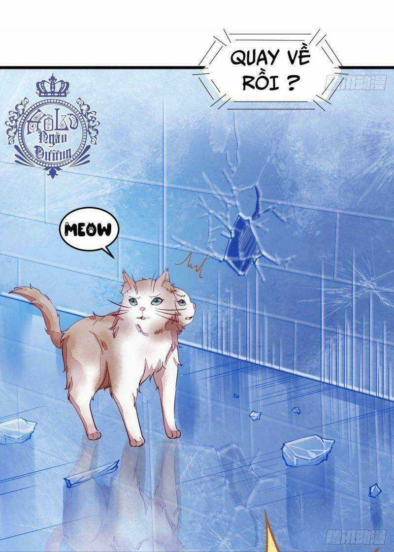 Sát Thủ Vương Phi Không Dễ Chọc Chapter 44 trang 9