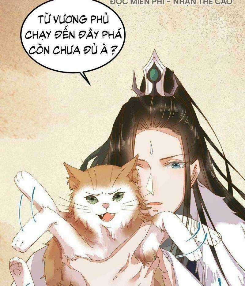 Sát Thủ Vương Phi Không Dễ Chọc Chapter 45 trang 11