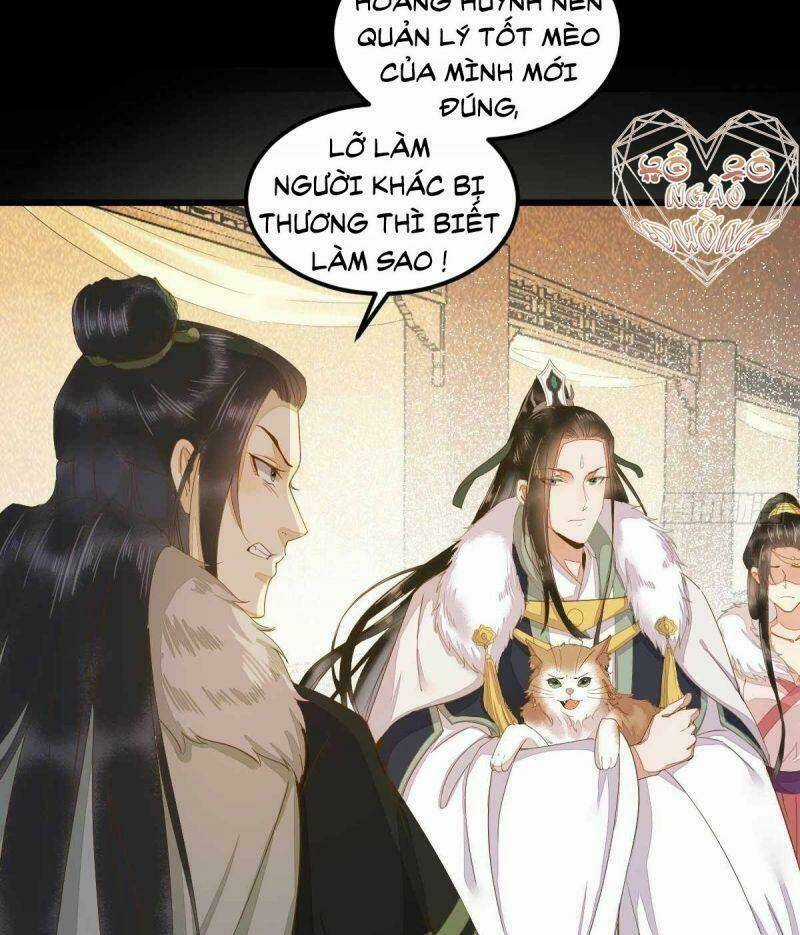 Sát Thủ Vương Phi Không Dễ Chọc Chapter 45 trang 13