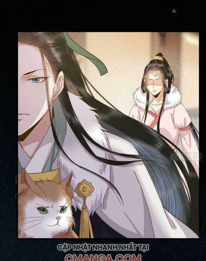 Sát Thủ Vương Phi Không Dễ Chọc Chapter 45 trang 17