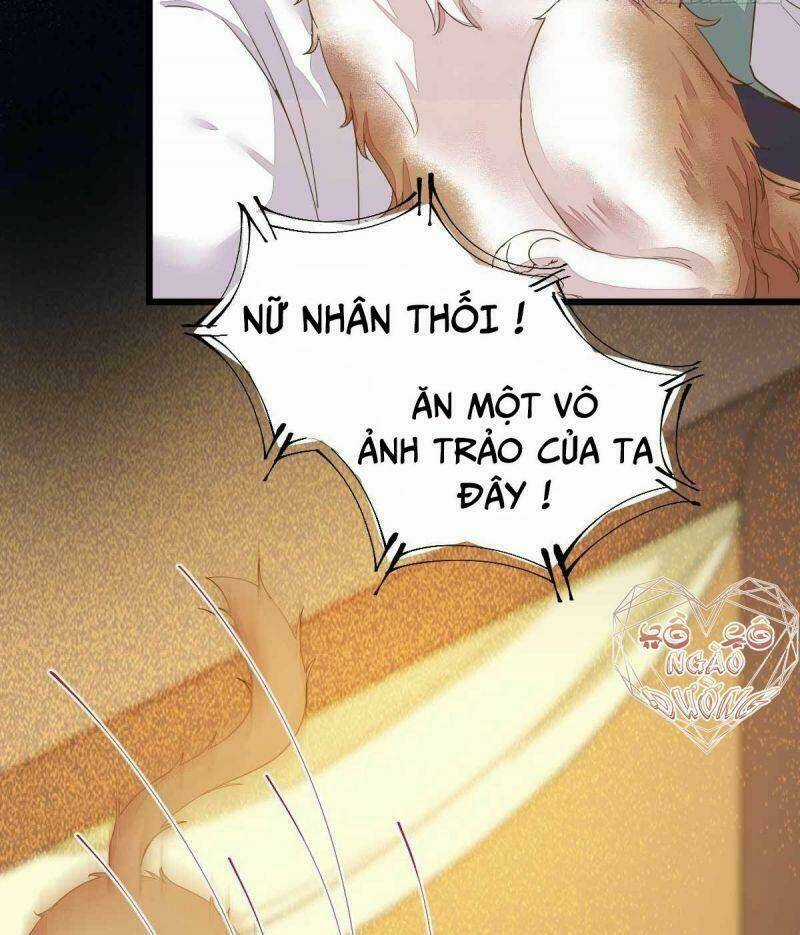 Sát Thủ Vương Phi Không Dễ Chọc Chapter 45 trang 5