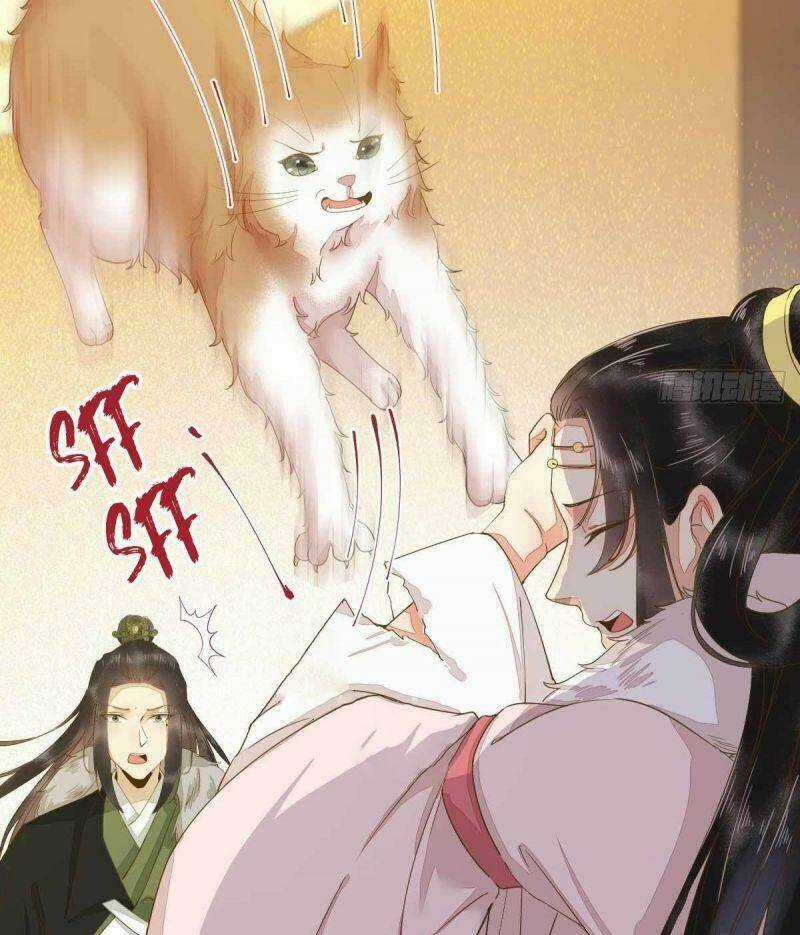 Sát Thủ Vương Phi Không Dễ Chọc Chapter 45 trang 6