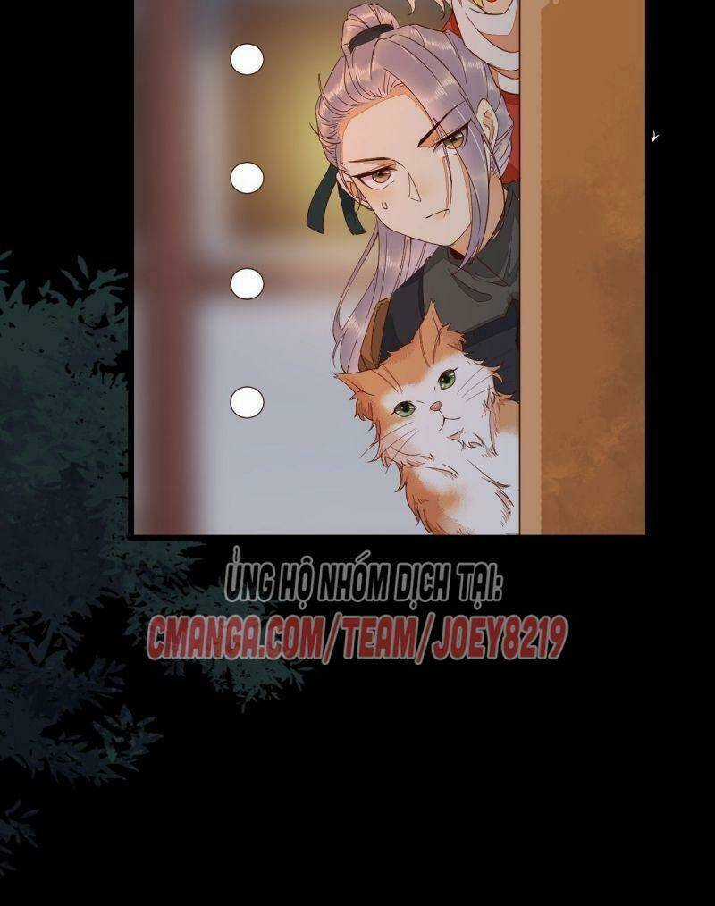 Sát Thủ Vương Phi Không Dễ Chọc Chapter 46 trang 16