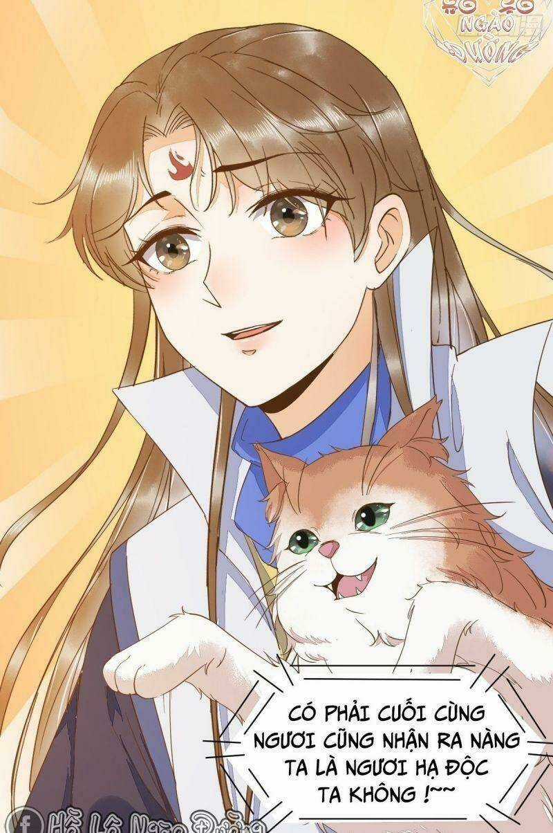 Sát Thủ Vương Phi Không Dễ Chọc Chapter 46 trang 4