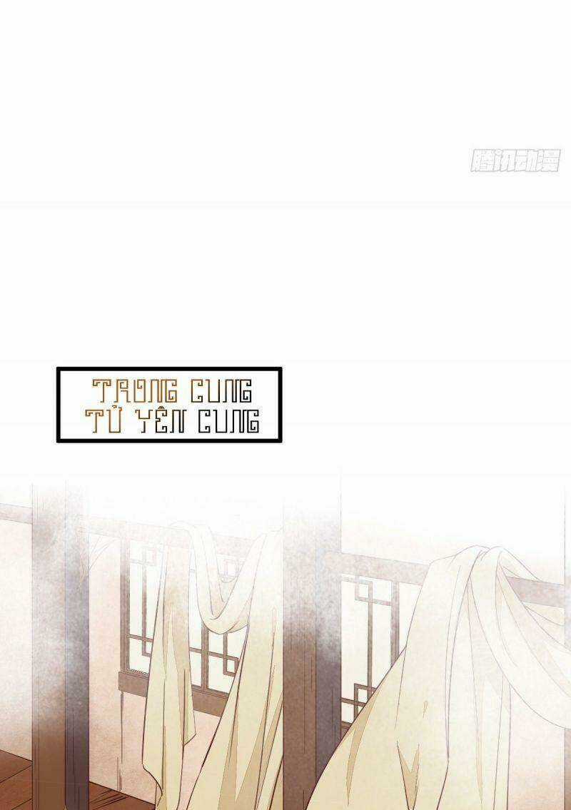 Sát Thủ Vương Phi Không Dễ Chọc Chapter 47 trang 11