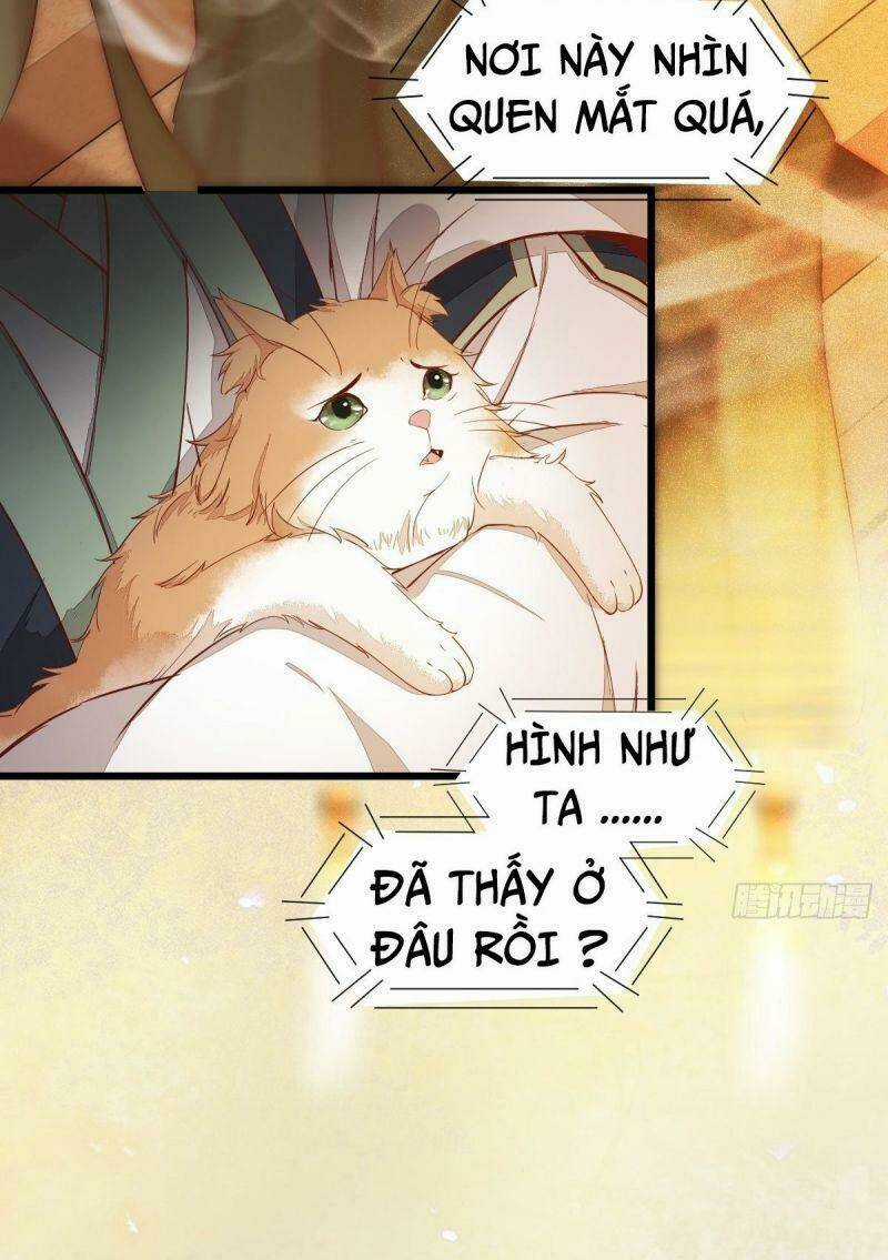 Sát Thủ Vương Phi Không Dễ Chọc Chapter 47 trang 13