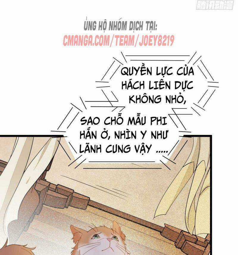 Sát Thủ Vương Phi Không Dễ Chọc Chapter 47 trang 17