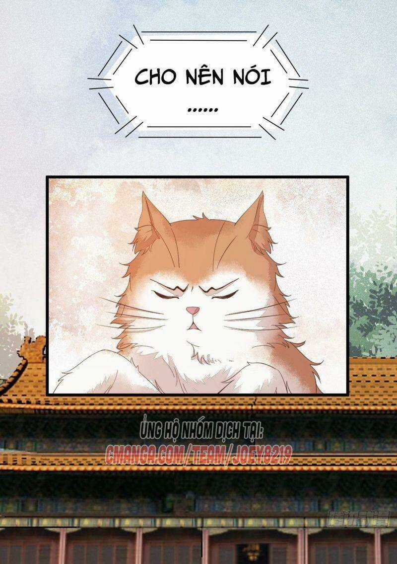 Sát Thủ Vương Phi Không Dễ Chọc Chapter 47 trang 2