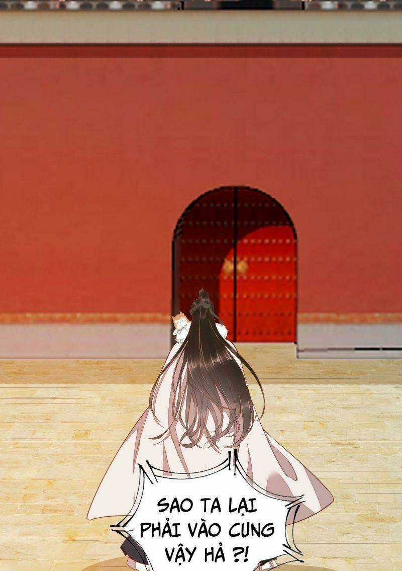 Sát Thủ Vương Phi Không Dễ Chọc Chapter 47 trang 3