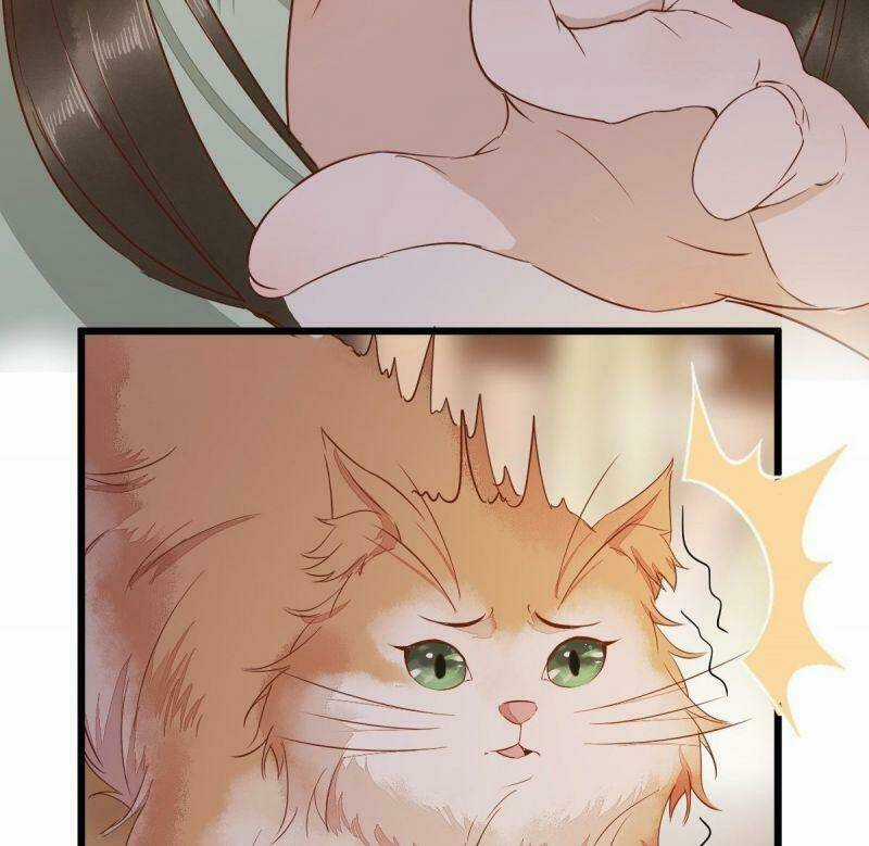 Sát Thủ Vương Phi Không Dễ Chọc Chapter 47 trang 40