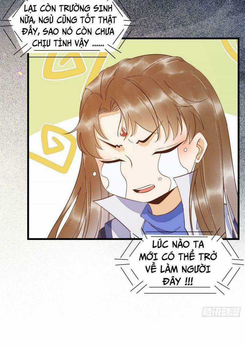 Sát Thủ Vương Phi Không Dễ Chọc Chapter 47 trang 6