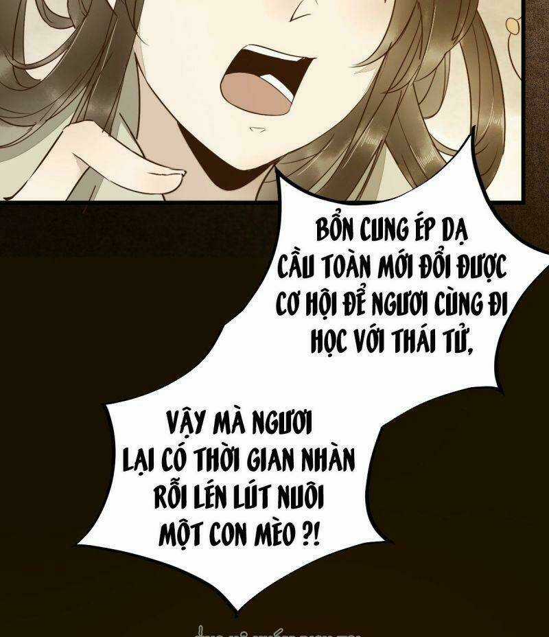 Sát Thủ Vương Phi Không Dễ Chọc Chapter 48 trang 17