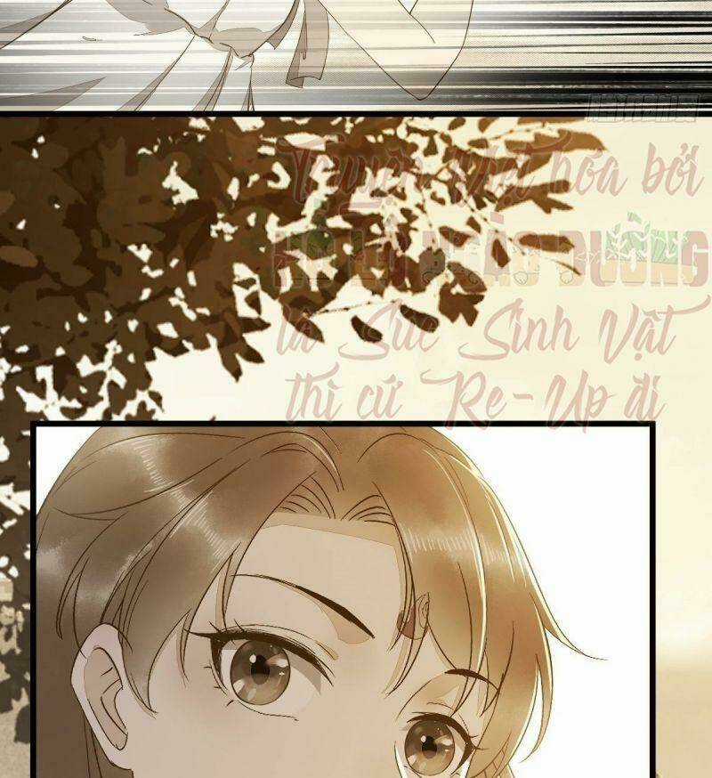 Sát Thủ Vương Phi Không Dễ Chọc Chapter 48 trang 42