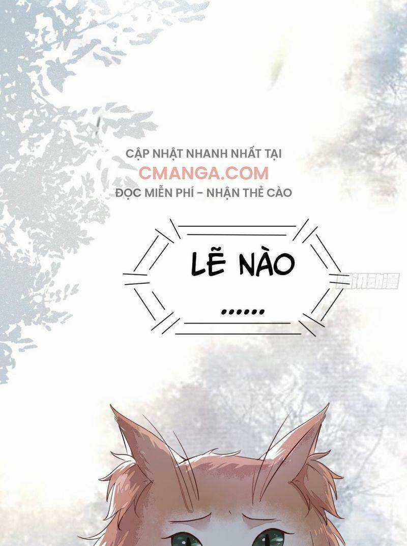 Sát Thủ Vương Phi Không Dễ Chọc Chapter 48 trang 50