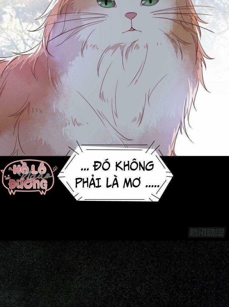 Sát Thủ Vương Phi Không Dễ Chọc Chapter 48 trang 51