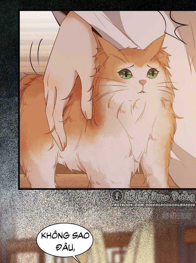 Sát Thủ Vương Phi Không Dễ Chọc Chapter 48 trang 52