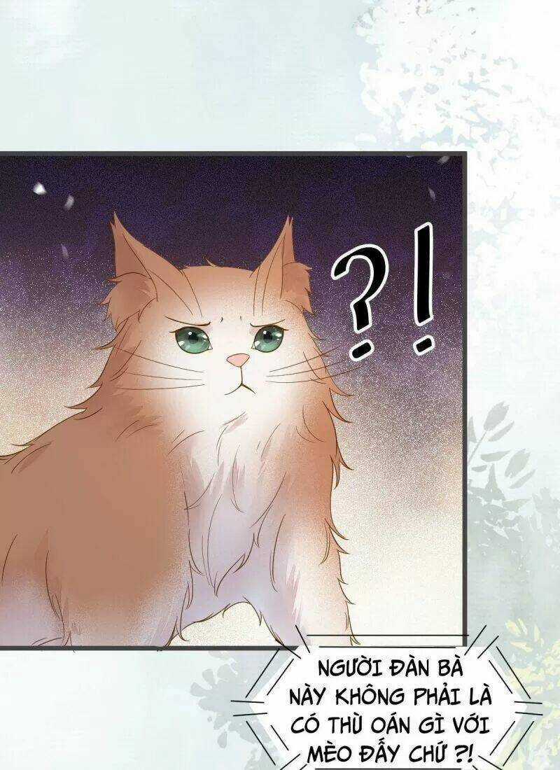 Sát Thủ Vương Phi Không Dễ Chọc Chapter 49 trang 15