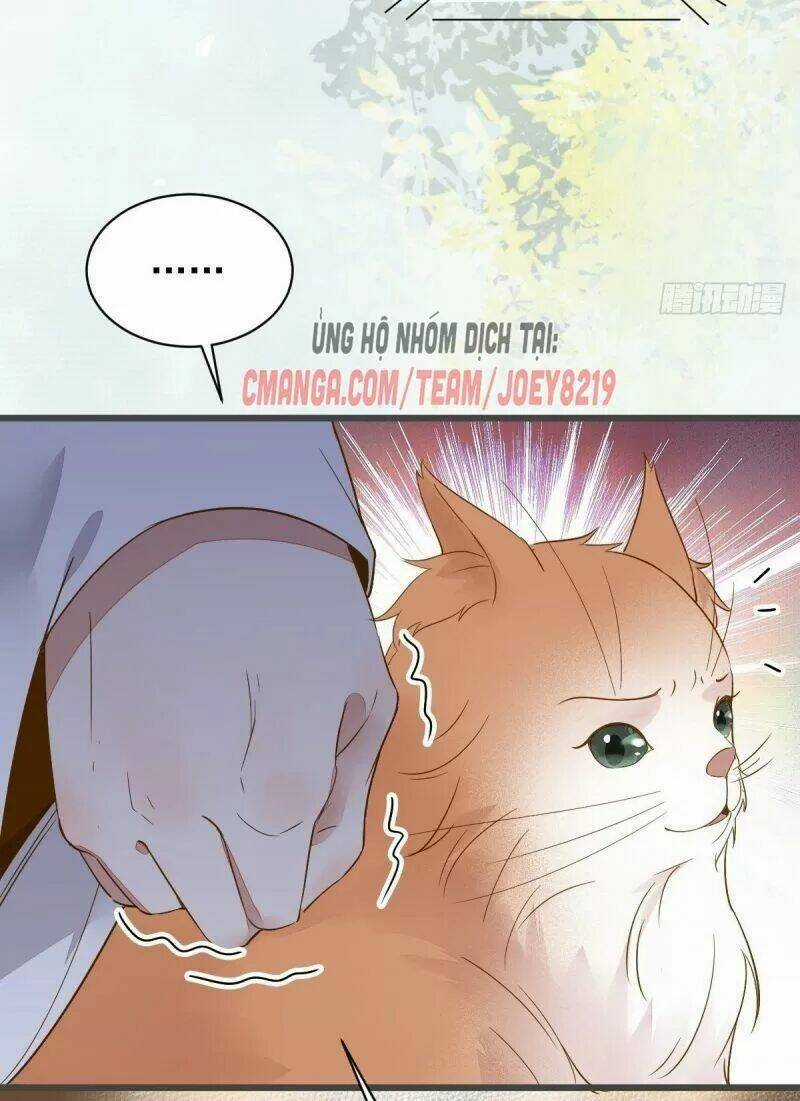 Sát Thủ Vương Phi Không Dễ Chọc Chapter 49 trang 16