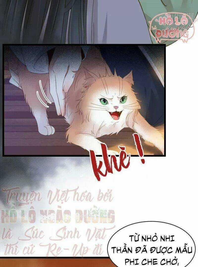 Sát Thủ Vương Phi Không Dễ Chọc Chapter 49 trang 7