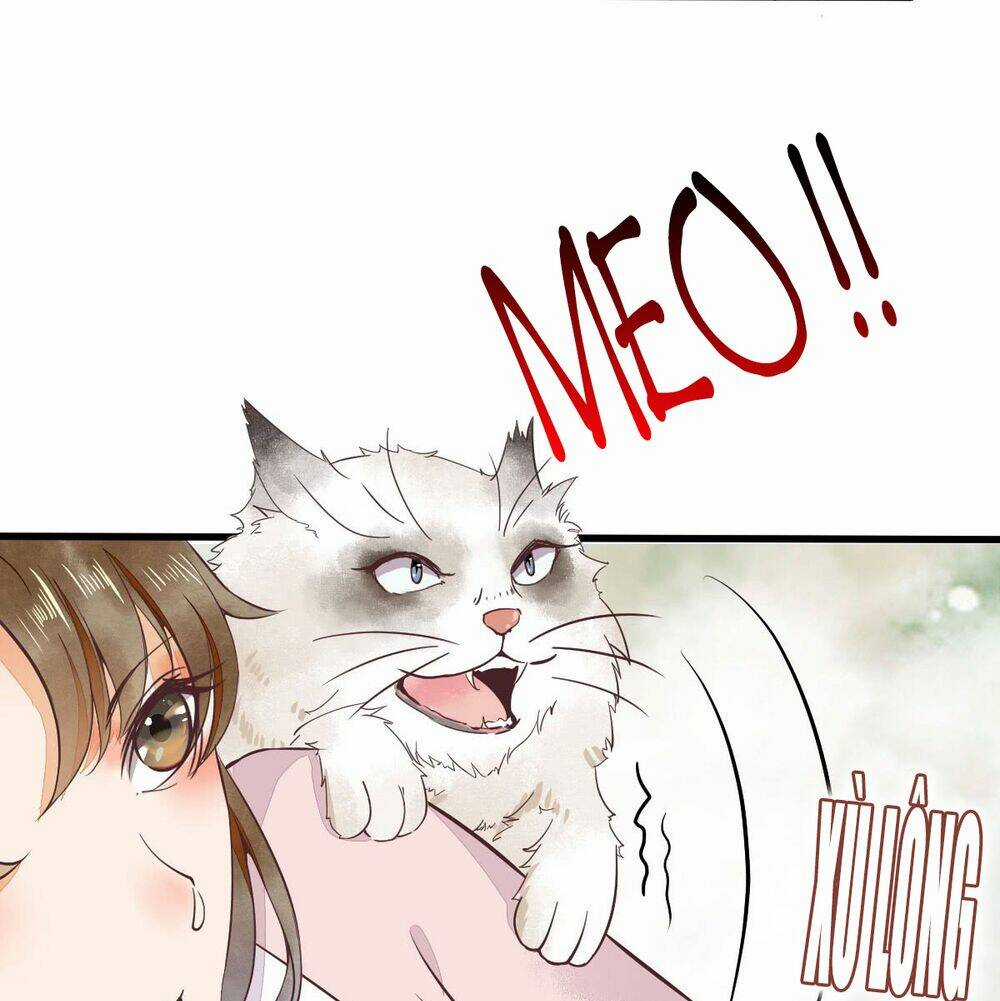 Sát Thủ Vương Phi Không Dễ Chọc Chapter 5.5 trang 10