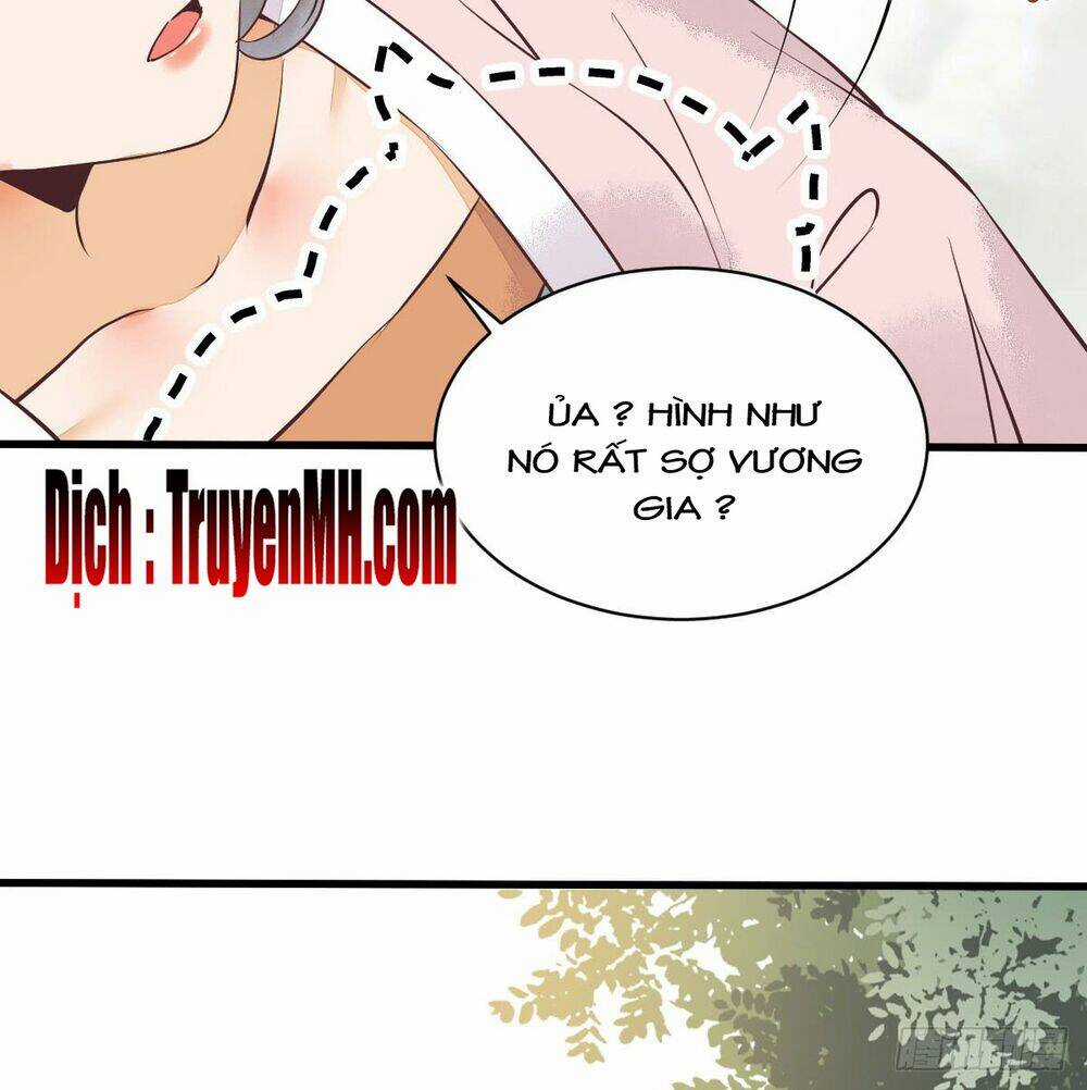 Sát Thủ Vương Phi Không Dễ Chọc Chapter 5.5 trang 11