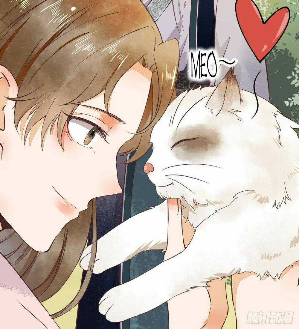 Sát Thủ Vương Phi Không Dễ Chọc Chapter 5.5 trang 13