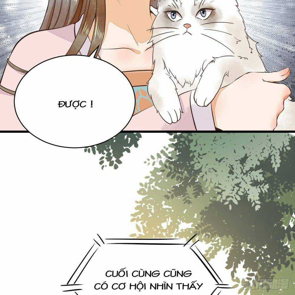 Sát Thủ Vương Phi Không Dễ Chọc Chapter 5.5 trang 17