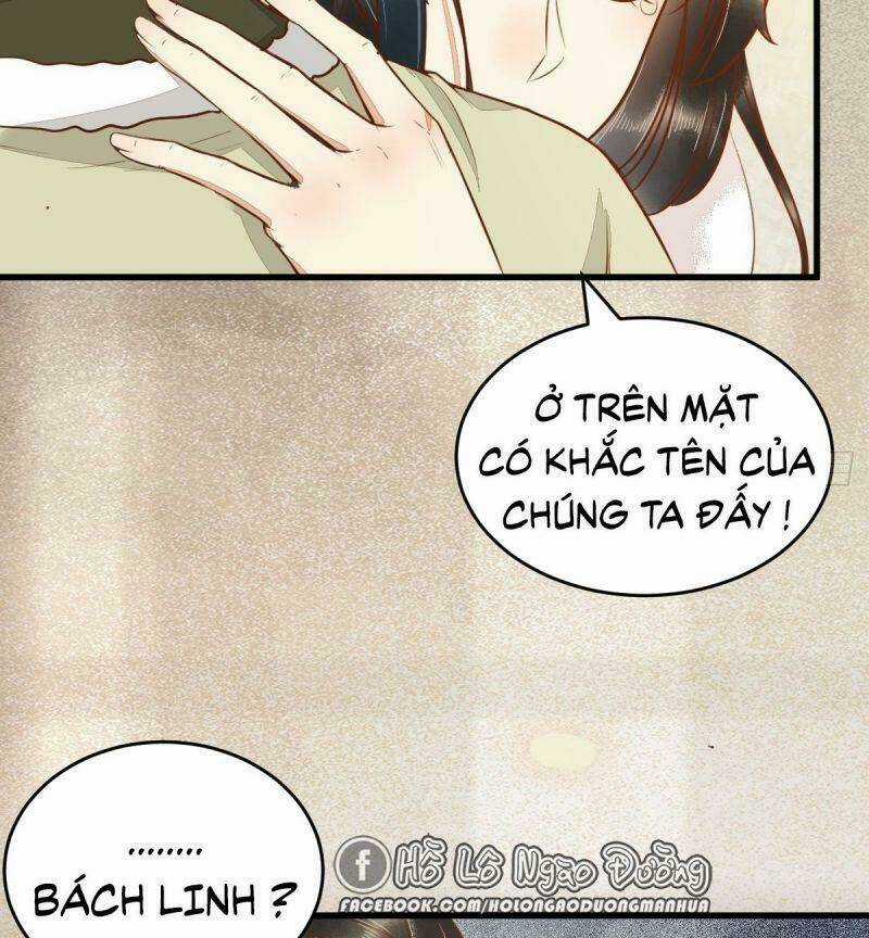 Sát Thủ Vương Phi Không Dễ Chọc Chapter 50 trang 13