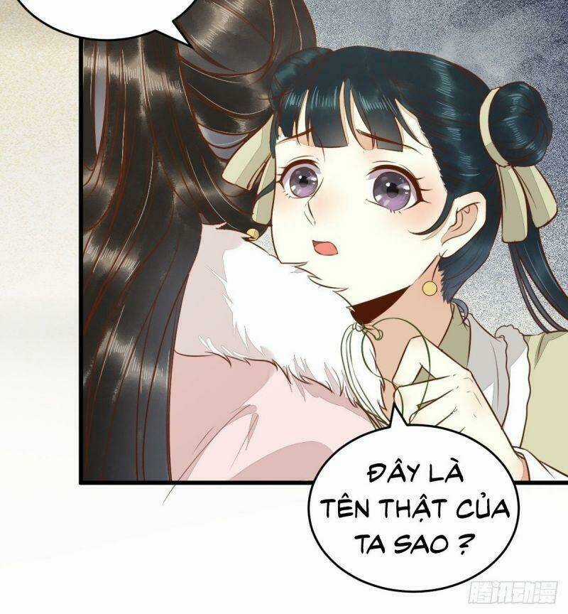 Sát Thủ Vương Phi Không Dễ Chọc Chapter 50 trang 14